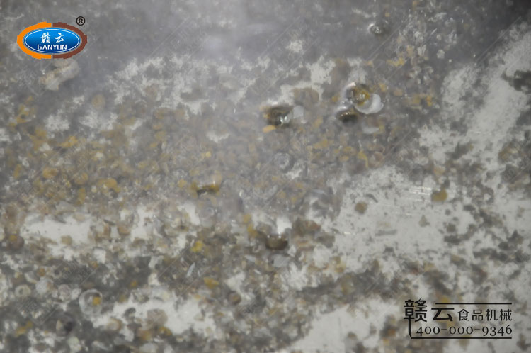 田螺剪尾機剪出來的田螺尾