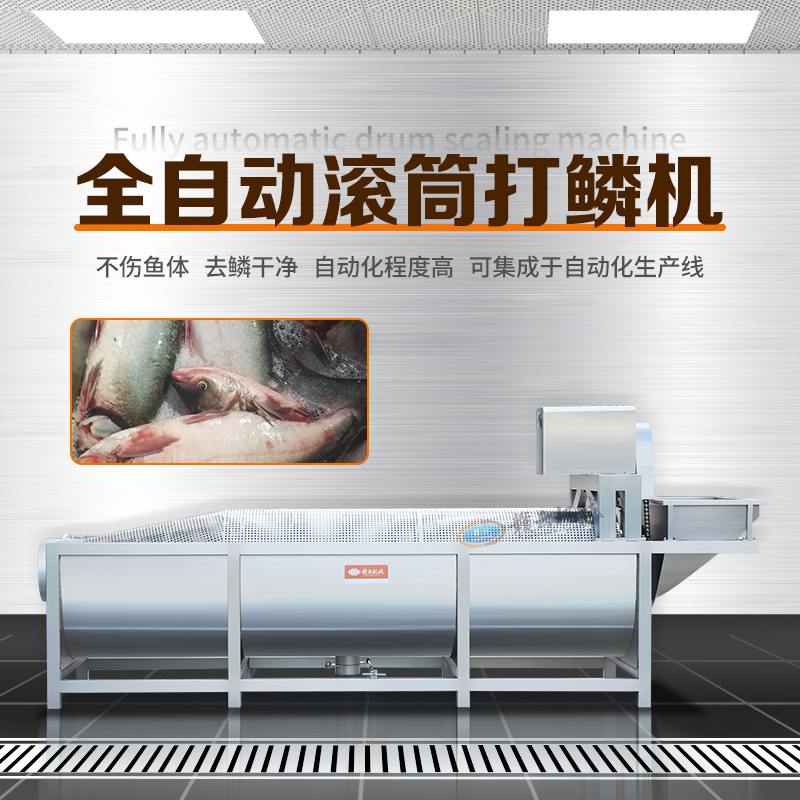 全自動滾筒打鱗機