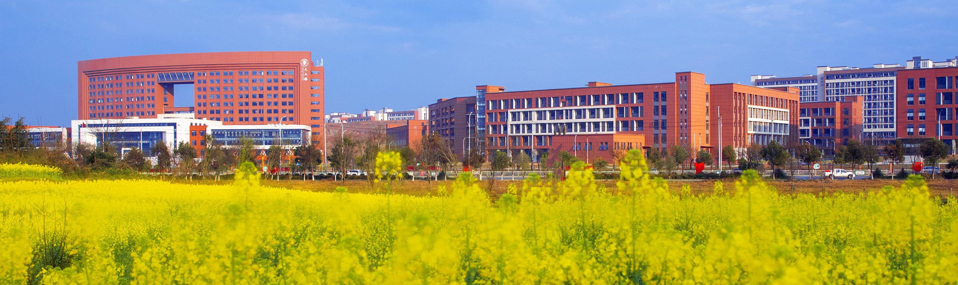 快/中/慢肉丸打漿機